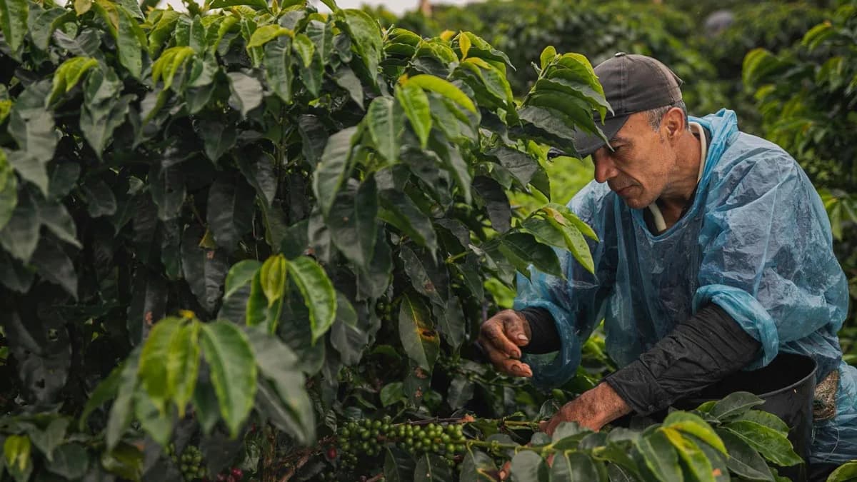 Es argentina y la ONU la distinguió por una creación con alto impacto social