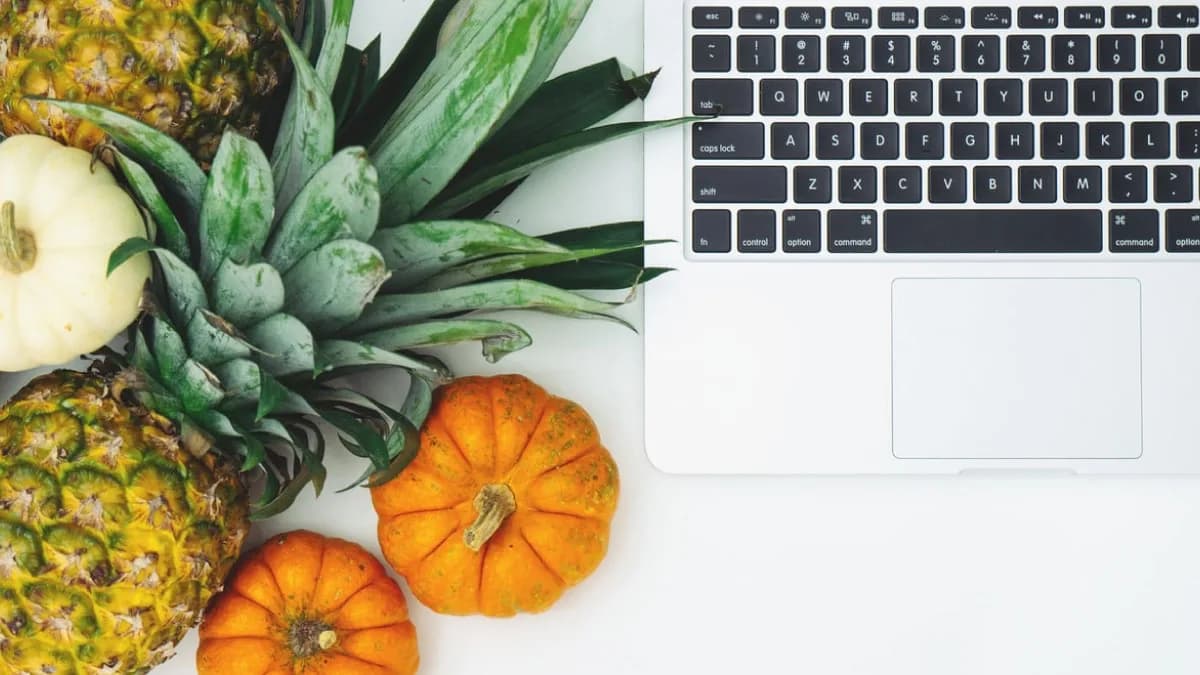 5 tips for selling food online in 2023