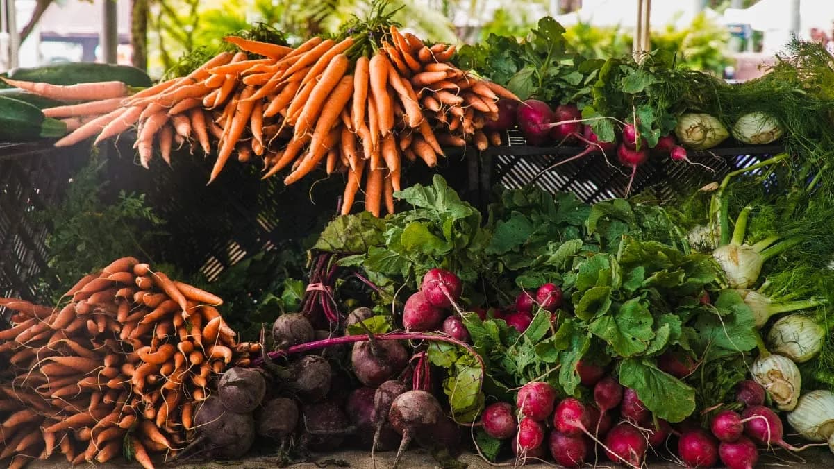 Como produzir e comercializar produtos orgânicos