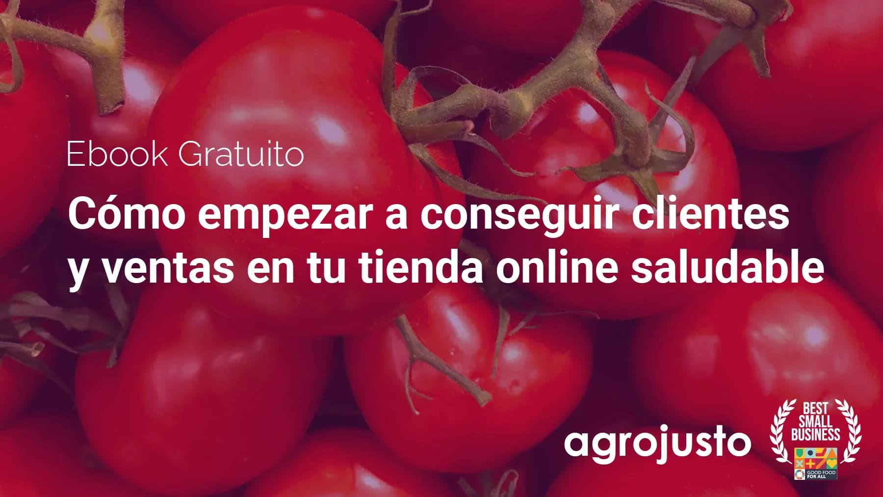 Como conseguir clientes e vendas em uma loja virtual saudável