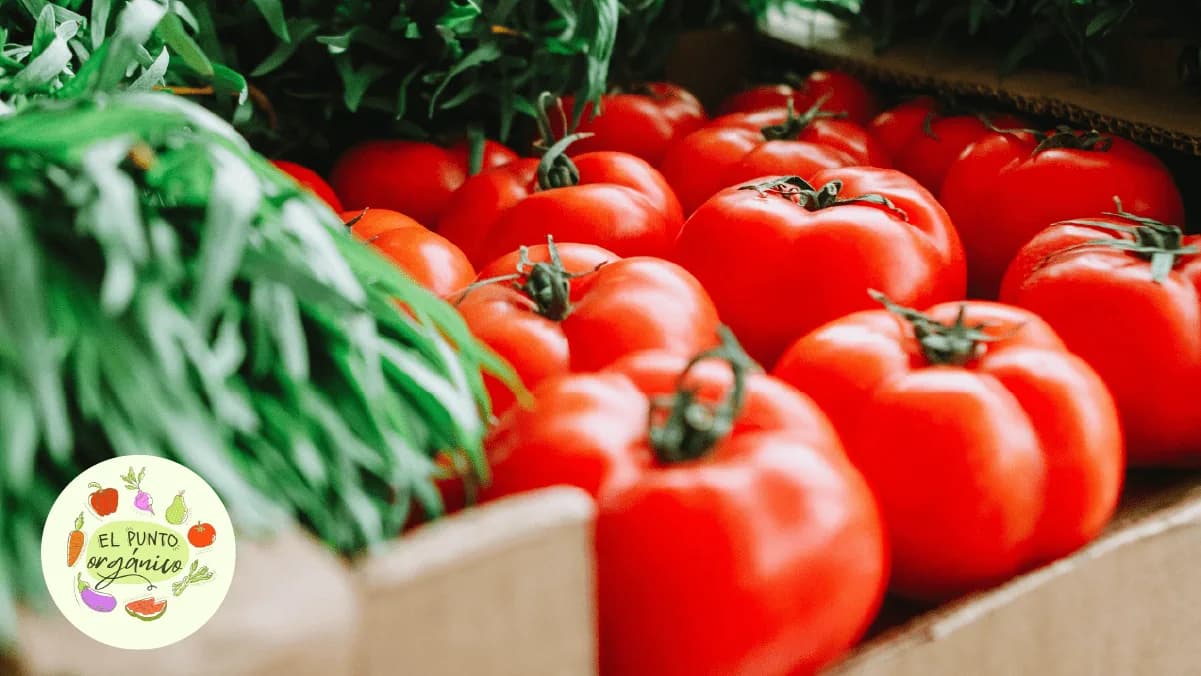 How to grow a healthy food store