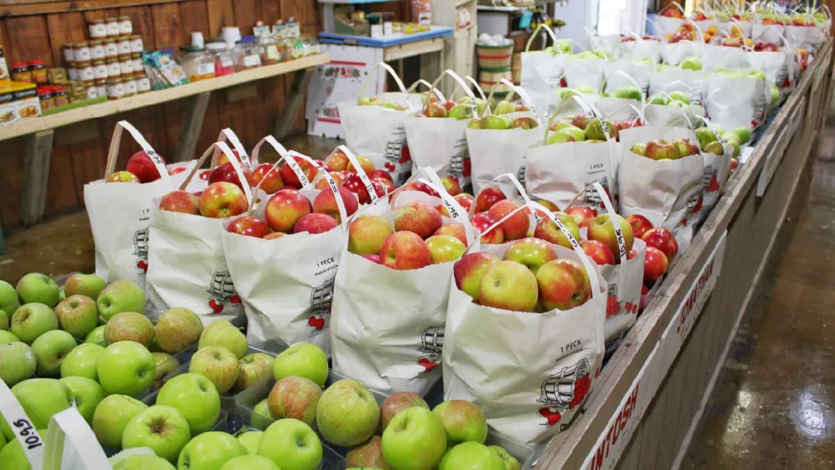 Monotributo y facturación para negocios de alimentos