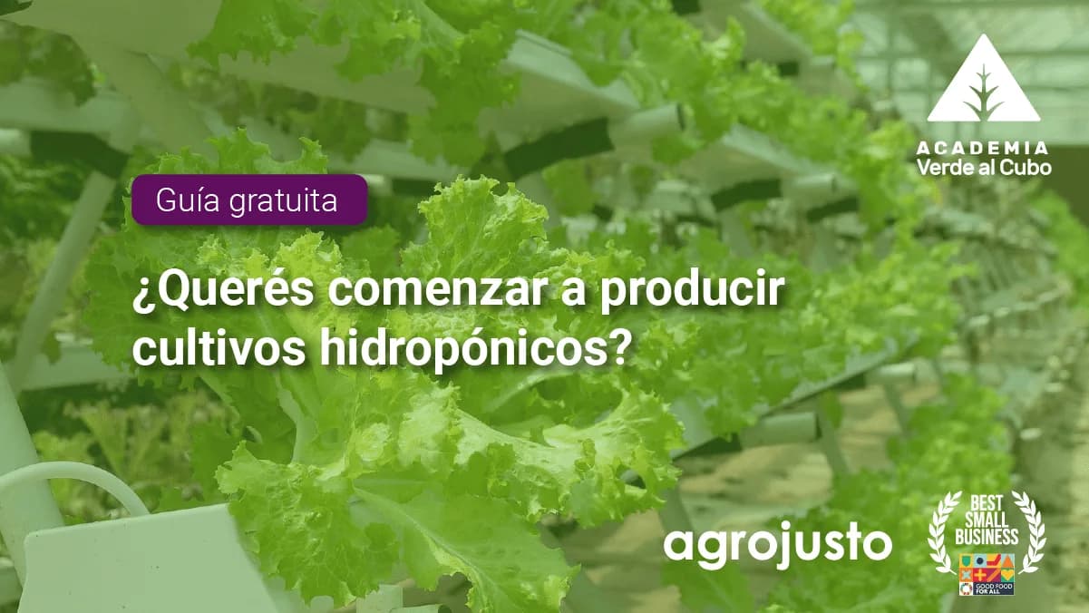 ¿Querés comenzar a producir cultivos hidropónicos?