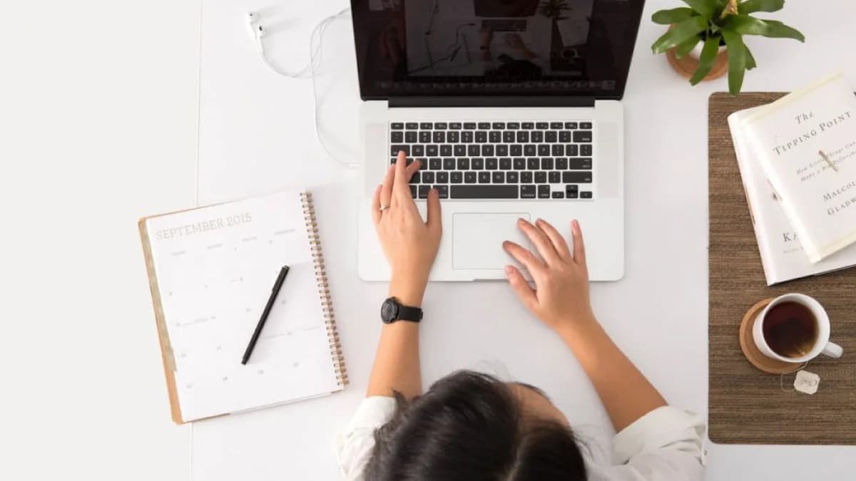 Diferença entre uma loja virtual e um marketplace