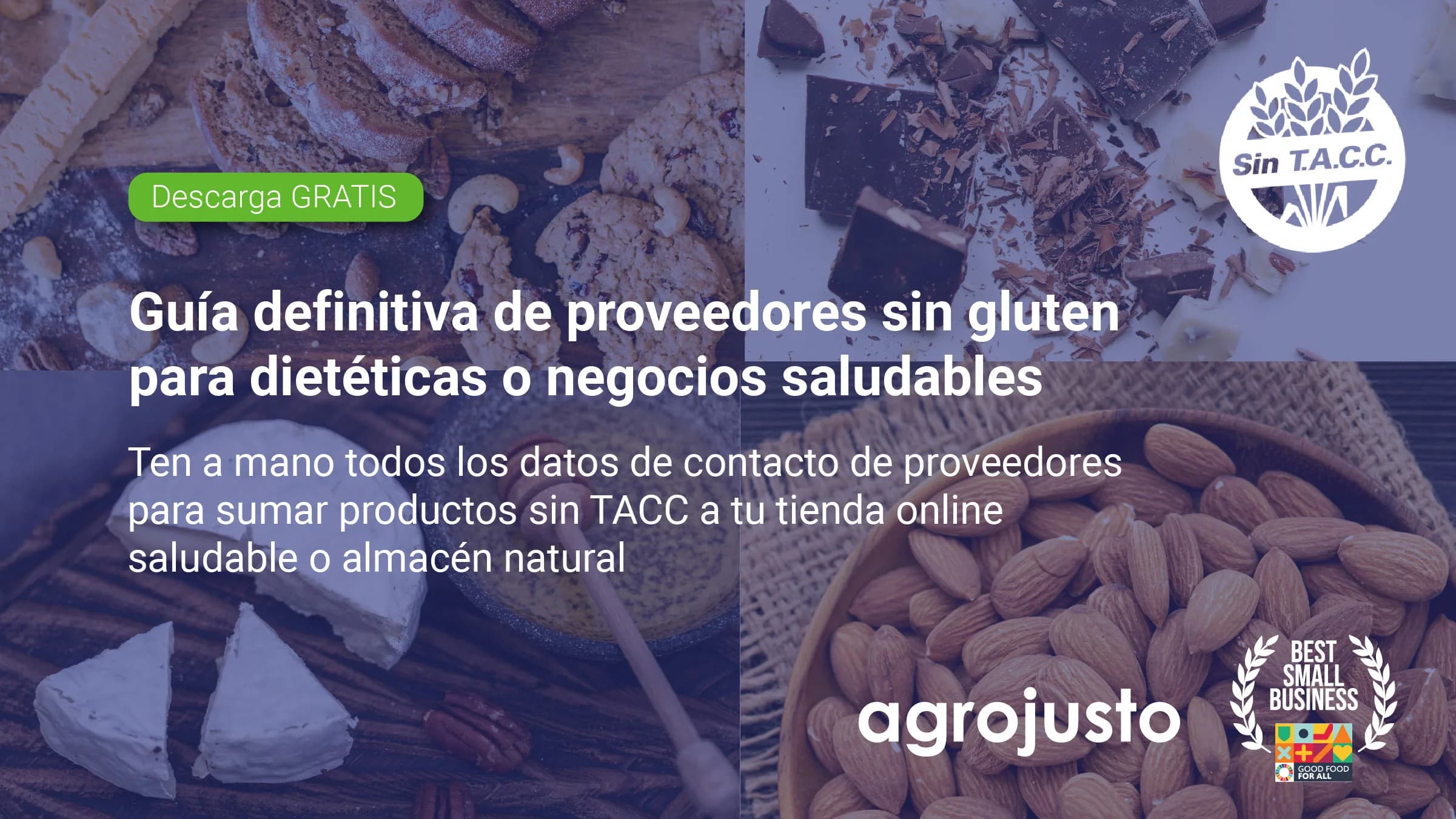 Guía definitiva de proveedores SIN T.A.C.C para tu tienda saludable