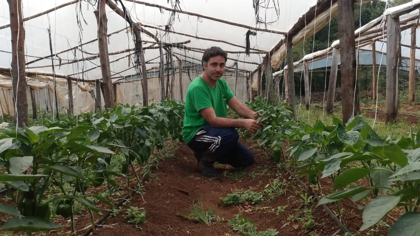 A história de Gastón, El Colono de Misiones