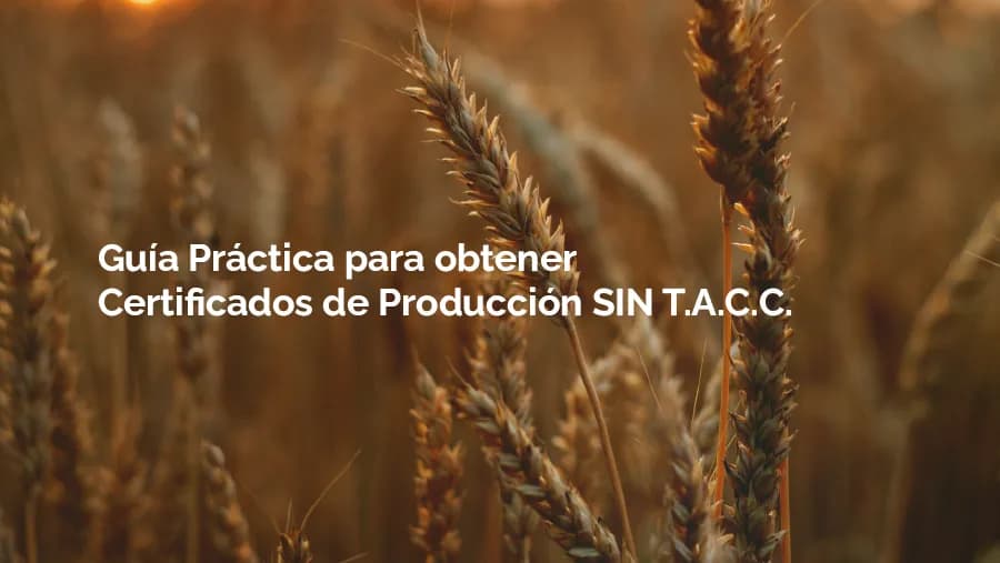 Guía Práctica para obtener certificados de producción SIN T.A.C.C