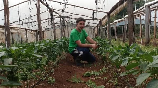 Quieren transformar el mercado de alimentos con una app y ya cuentan casos de éxito