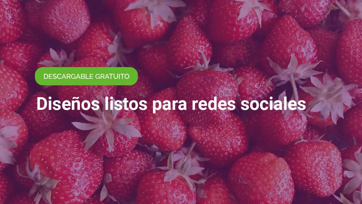 Ready-made social media designs