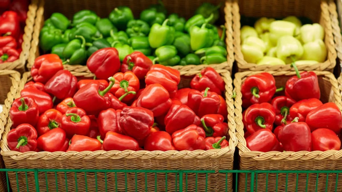 Por que vale a pena vender alimentos saudáveis e agroecológicos