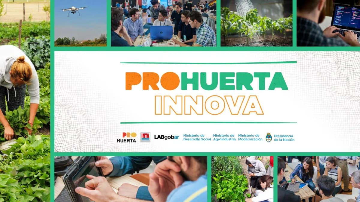 ProHuerta Innova INTA winners