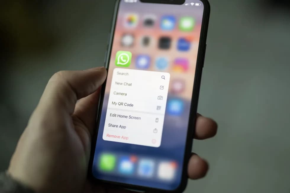 WhatsApp Business: o que é e como usá-lo para vender alimentos