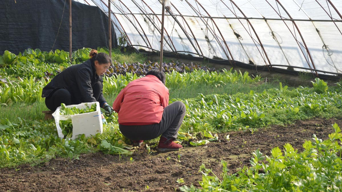 Agrojusto Argentina