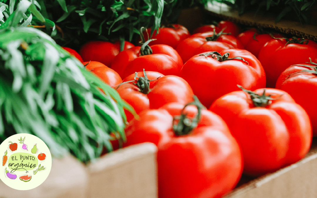 Cómo hacer crecer una tienda de alimentos saludables