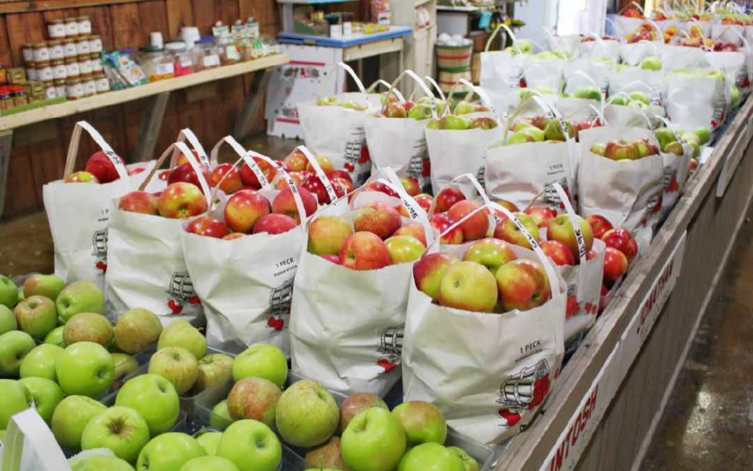 Monotributo y facturación para negocios de alimentos