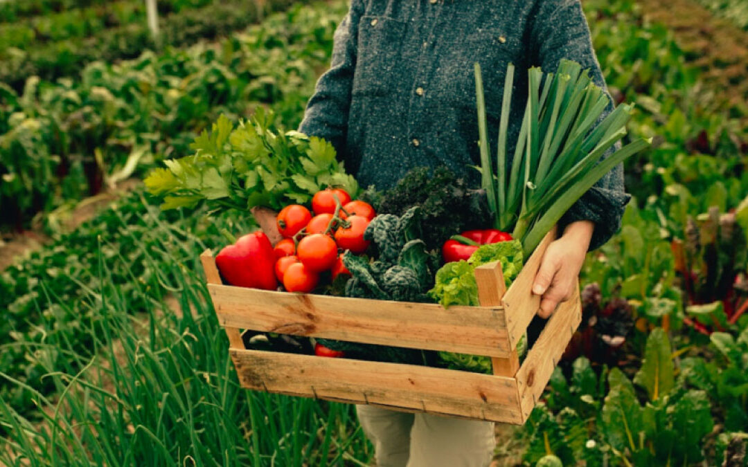 Cómo conectarse con productores de alimentos